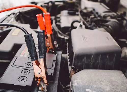 東方龍商務深圳分公司將于7月30日舉行新能源鋰電池項目對接會